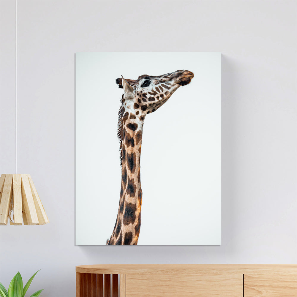 Graceful Giraffe Canvas
