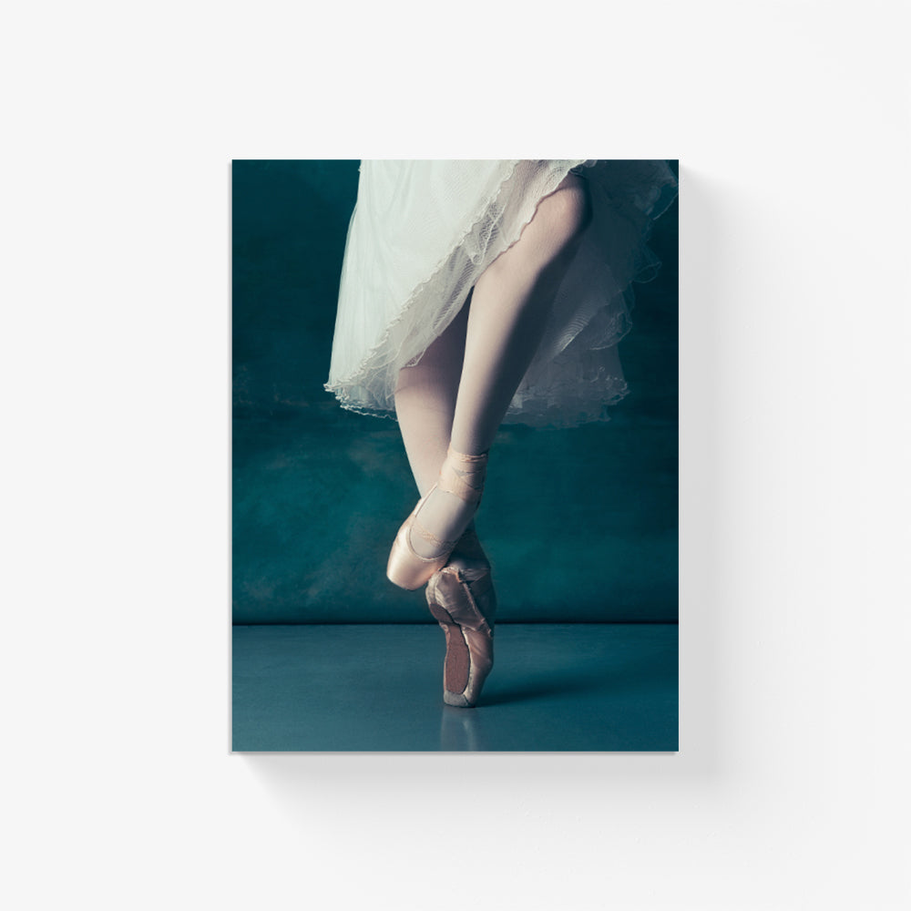 Balletic Grace Canvas