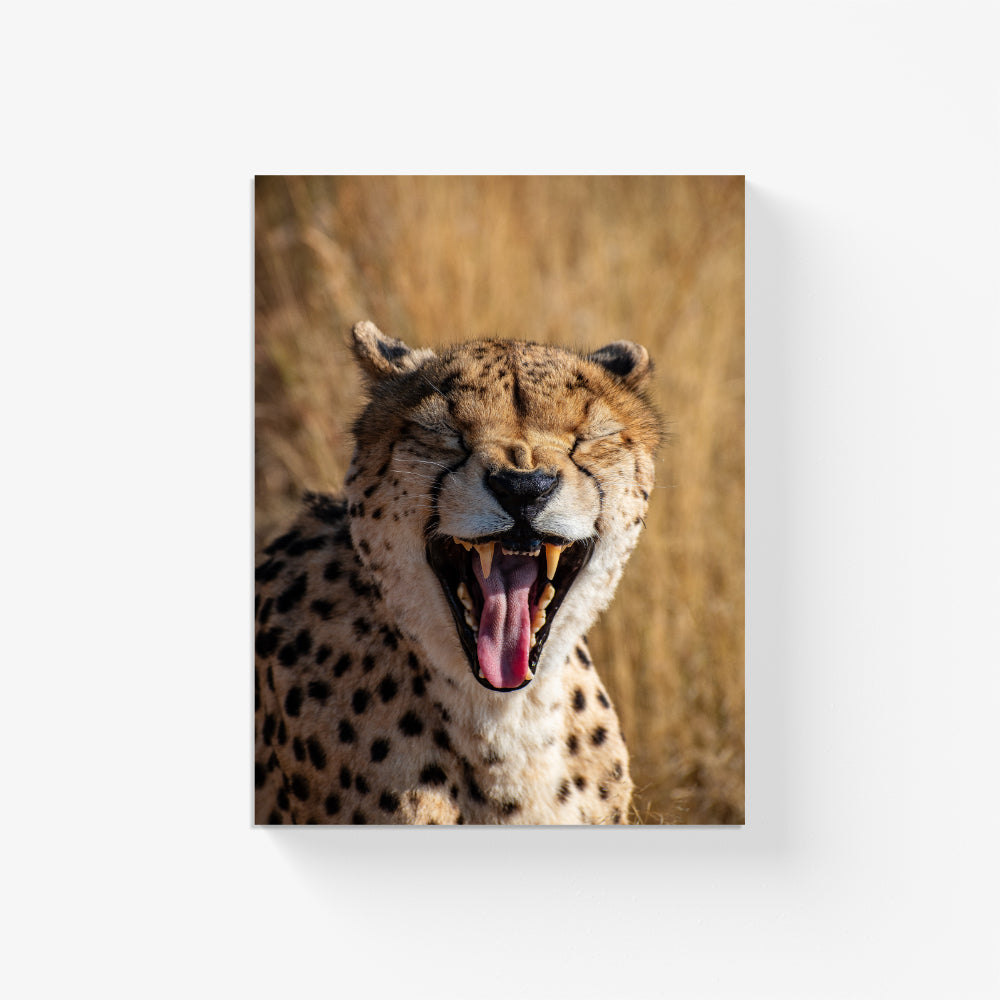 Cheetah's Crescendo Canvas