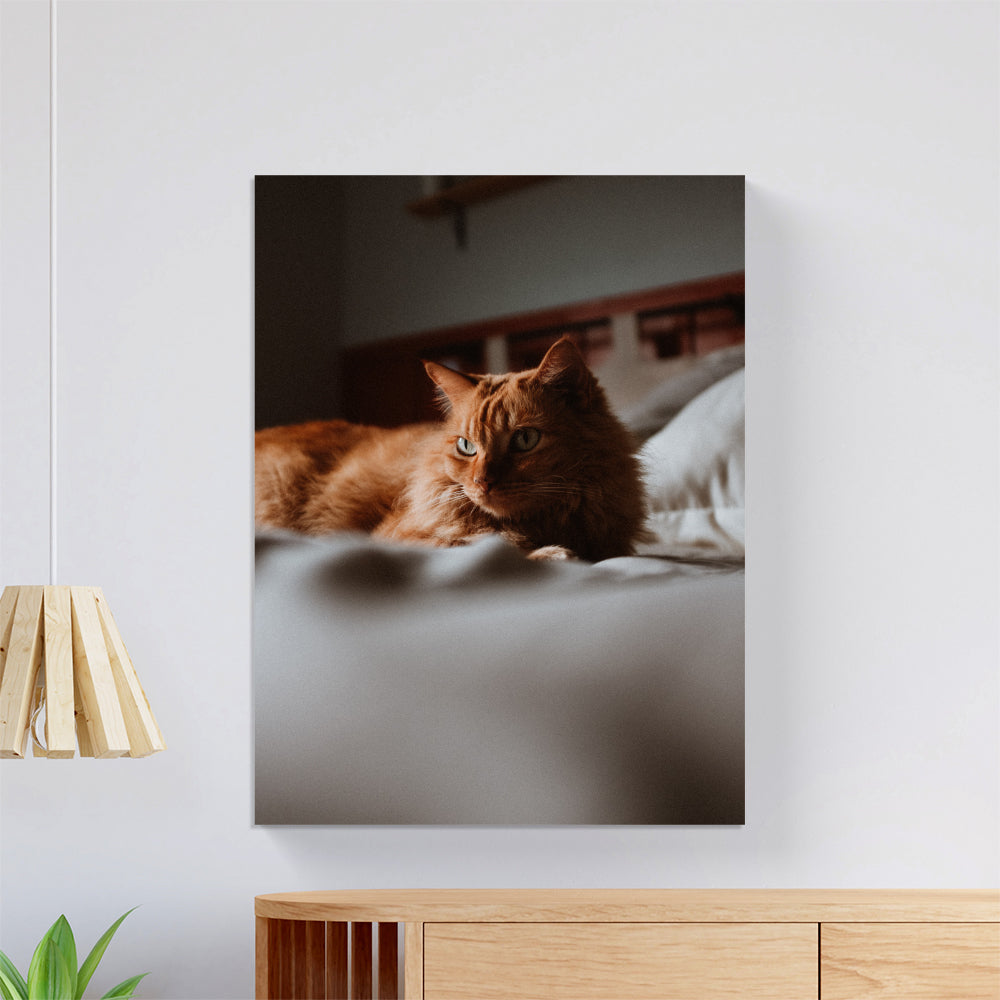Cozy Cat Canvas