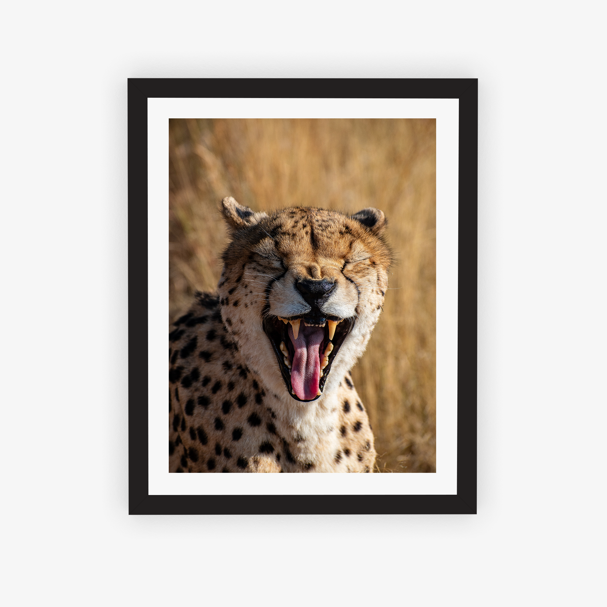 Cheetah's Crescendo Poster