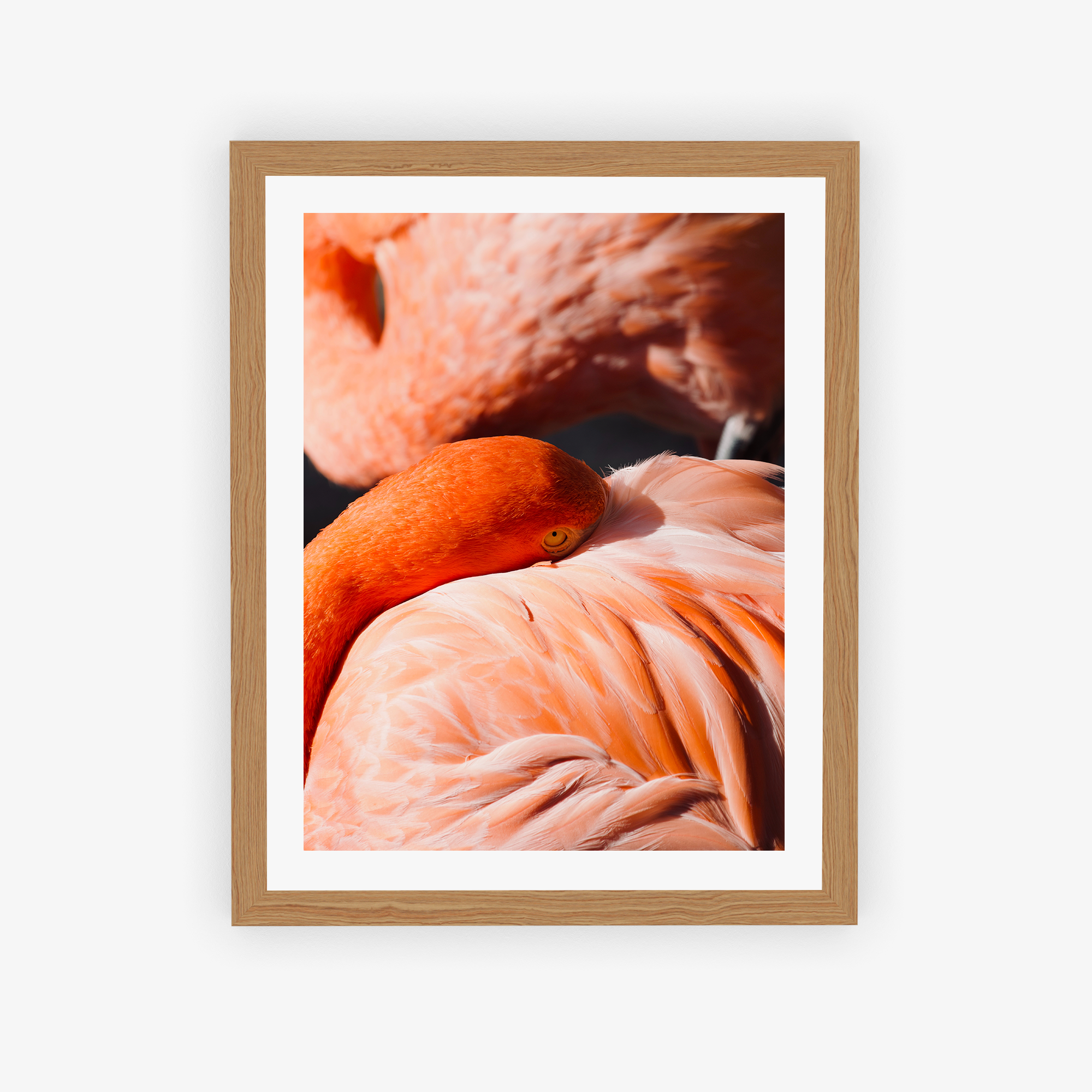 Flamingo Dreamscape Poster