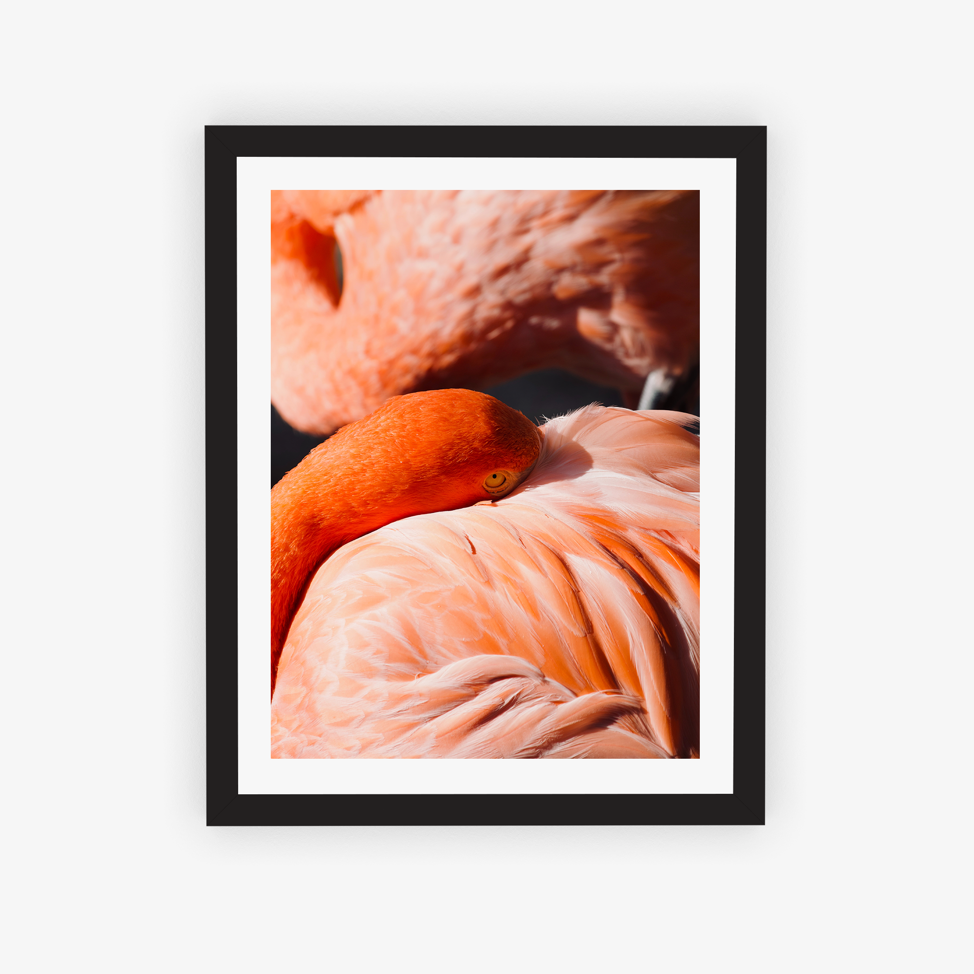 Flamingo Dreamscape Poster